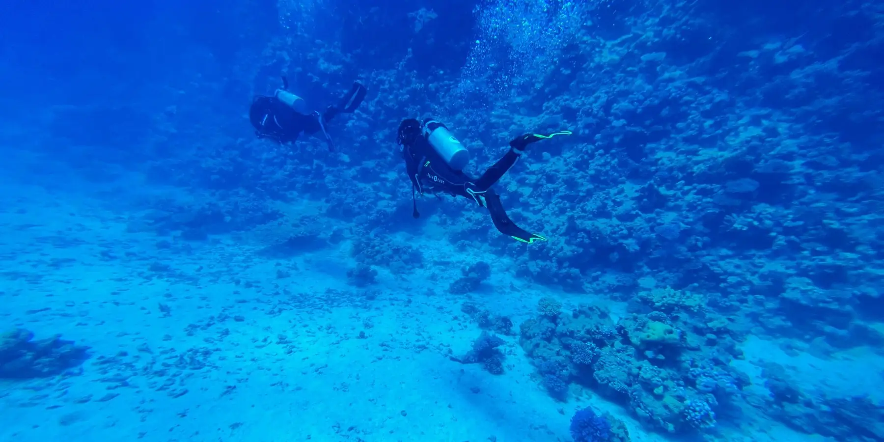 Dos buzos nadan sobre el fondo de arena en agua azul